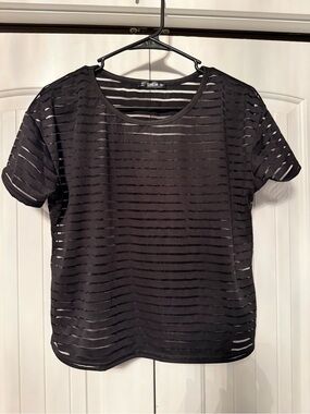 SHEIN Black Sheer Horizontal Stripe Short Sleeve Top